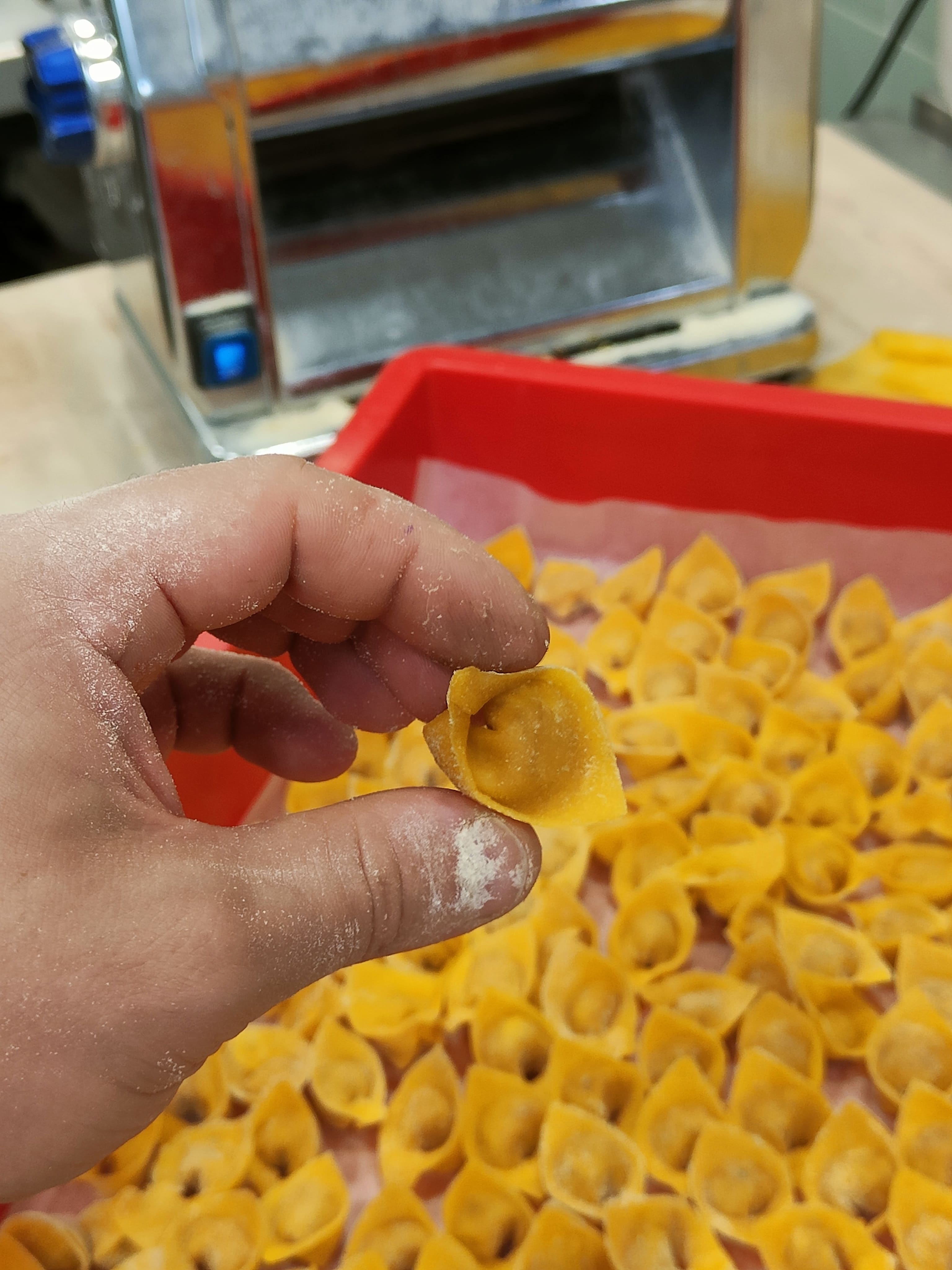 tipo di pasta